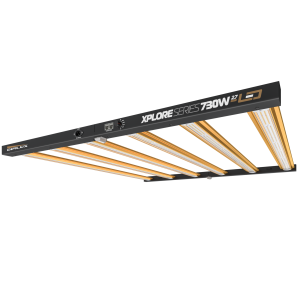 Xplore Series LED