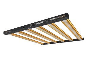 Xplore Series 2.7 umol
