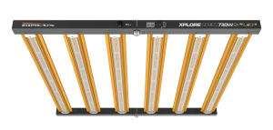 Dimlux LED